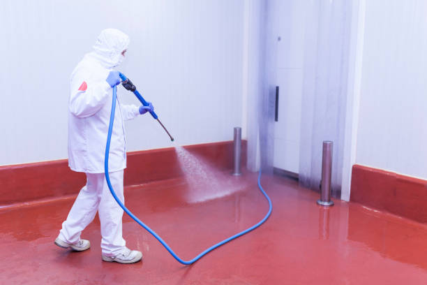 Professional  Pressure Washing Services in Patterson Tract, CA